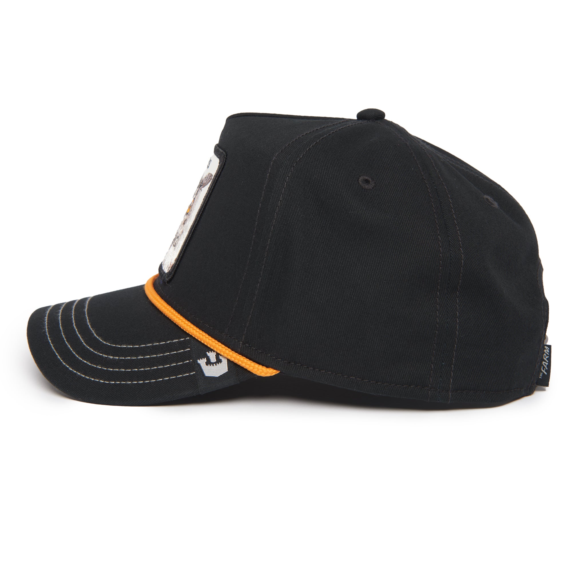 Wise Owl 100 Black Baseball Cap