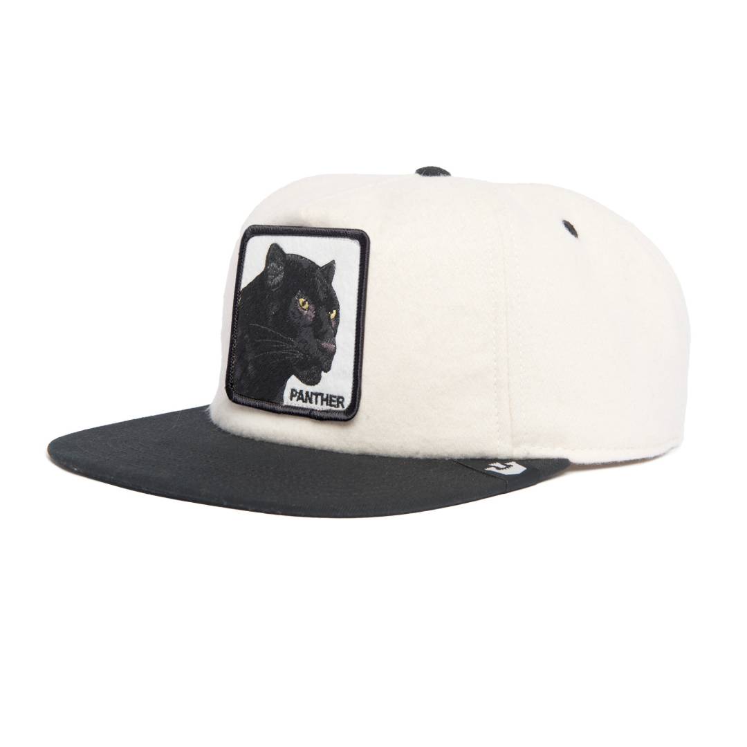 Stealth Explorer Off White Snapback Cap